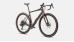 DIVERGE EXPERT CARBON