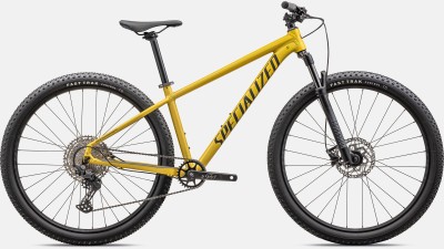ROCKHOPPER EXPERT 29