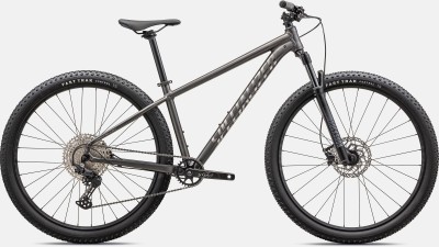 ROCKHOPPER EXPERT 29